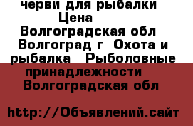 черви для рыбалки › Цена ­ 25 - Волгоградская обл., Волгоград г. Охота и рыбалка » Рыболовные принадлежности   . Волгоградская обл.